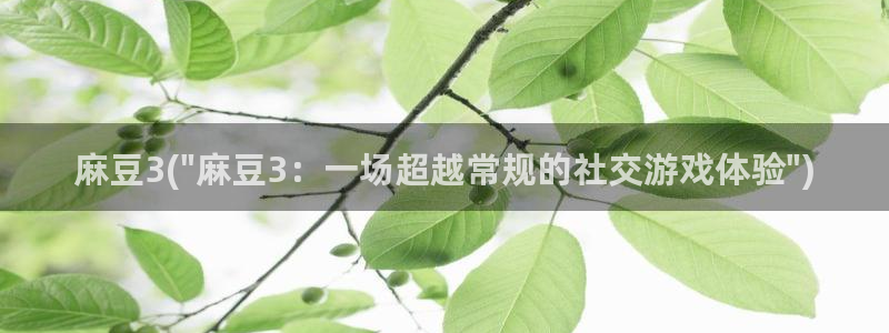 麻豆精品社区：麻豆3(\