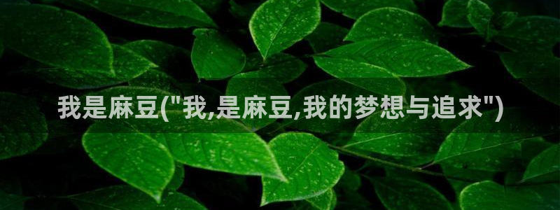 麻豆av专区：我是麻豆(\
