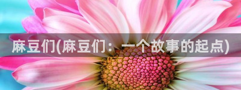 麻豆专区：麻豆们(麻豆们：一个故事的起点)