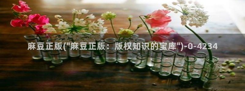 91麻豆国产专区