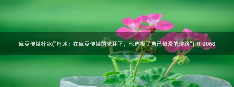 麻豆.com