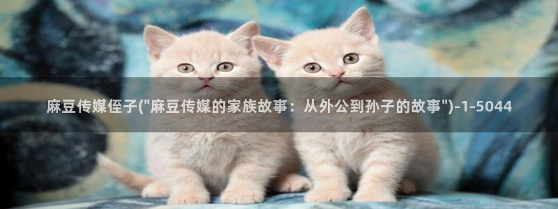 麻豆国产专区：麻豆传媒侄子(\