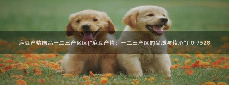 麻豆观看：麻豆产精国品一二三产区区(\