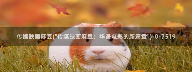 av麻豆专区：传媒映画麻豆(\