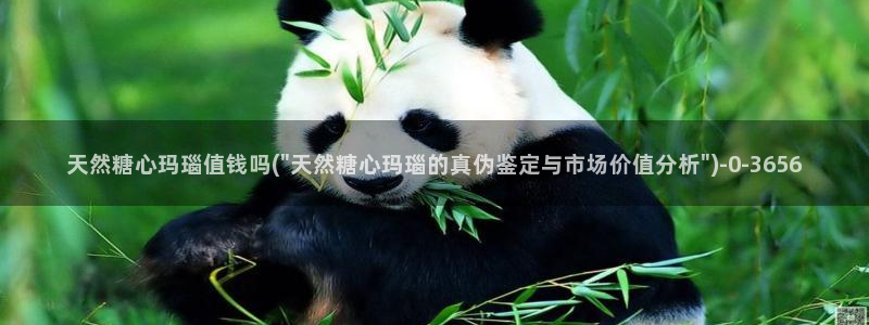 糖心vlog破解免费苹果