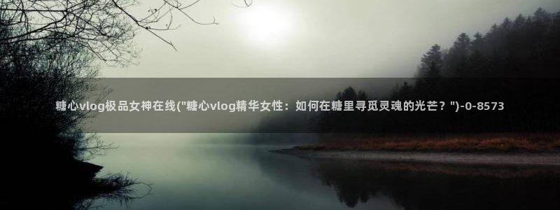 糖心vlog导航