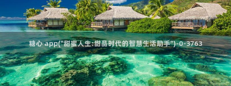 糖心vlog深夜