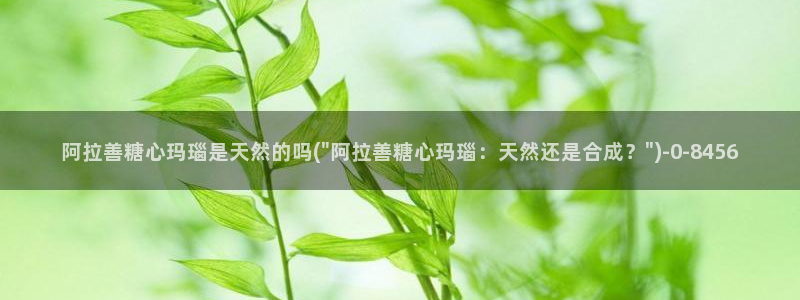 糖心vlog视频观看