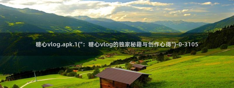 糖心vlog什么意思