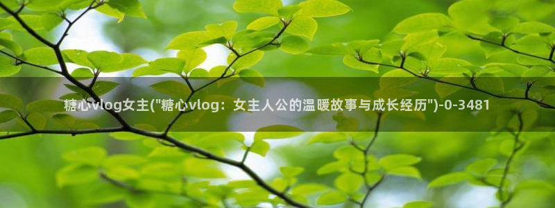 糖心vlog视频