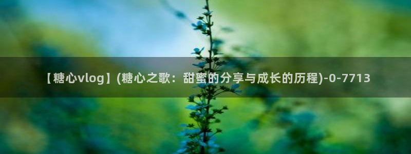 糖心vlog御梦子18