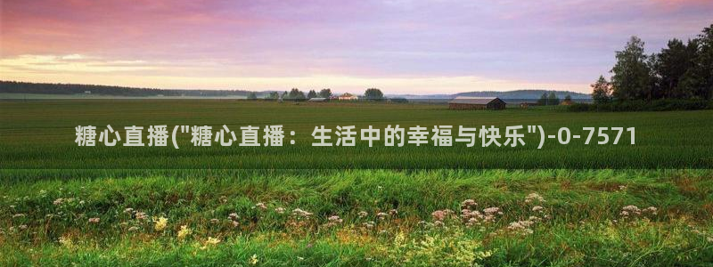 糖心vlog破解视频