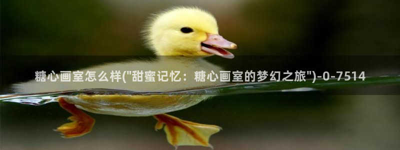 糖心vlog网页版免费观看：糖心画室怎么样(\