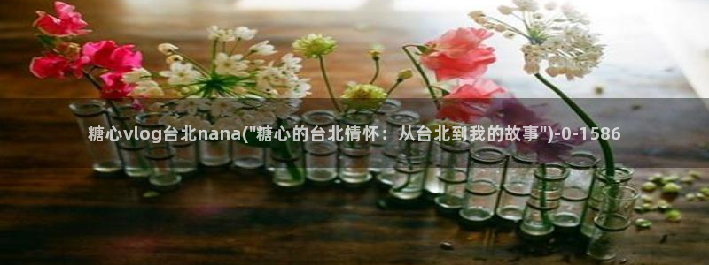 糖心vlog免费版下载%