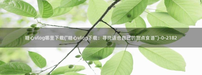 糖心vlog app破解版