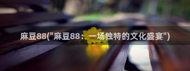 一级专区麻豆专区三级：麻豆88(\